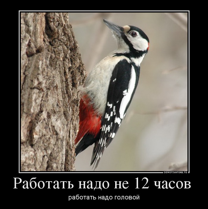 Работать надо не 12 часов
