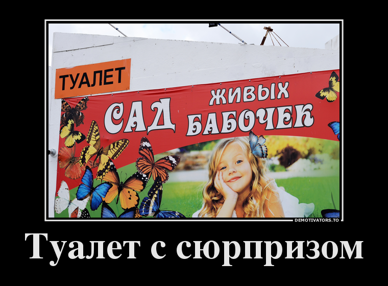 Туалет с сюрпризом