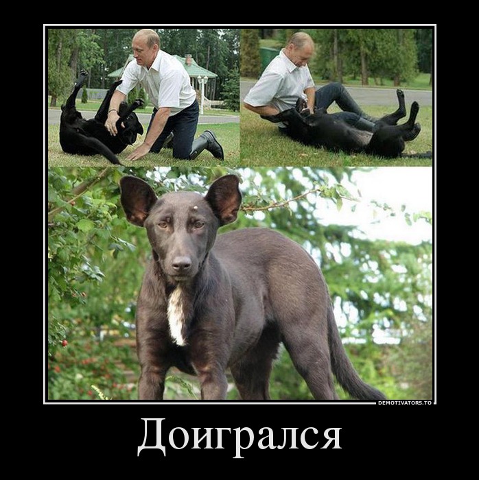 Доигрался