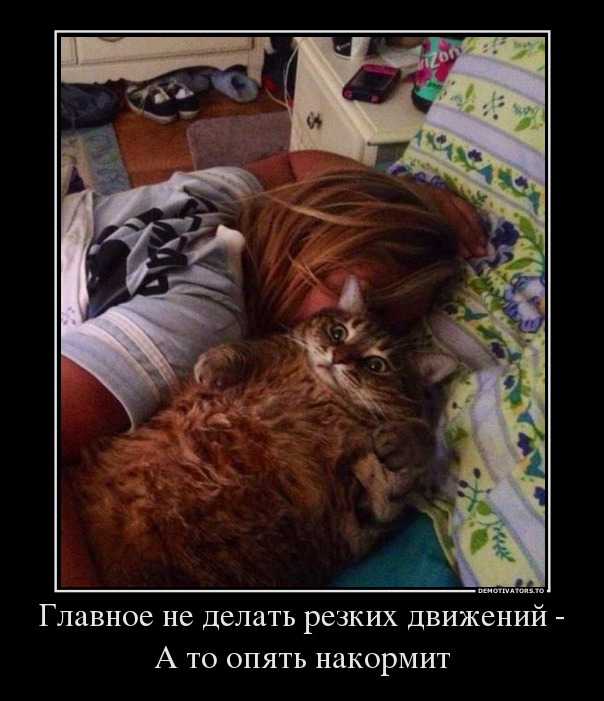 Главное не делать резких движений - А то опять накормит