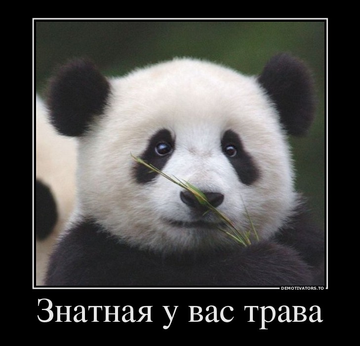 Знатная у вас трава