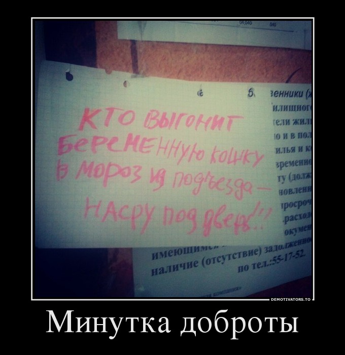 Минутка доброты