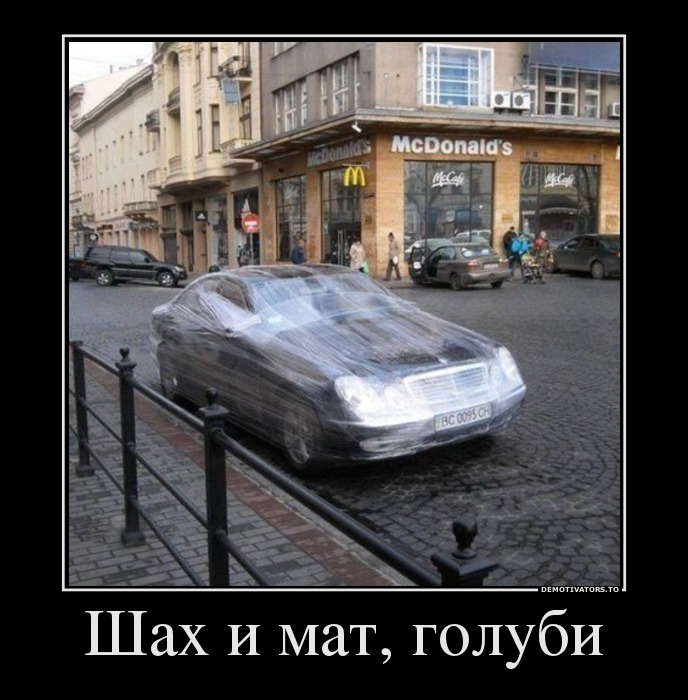 Шах и мат, голуби