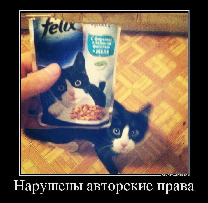 Нарушены авторские права