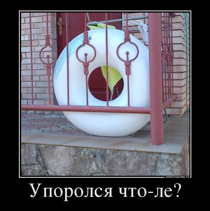 Упоролся что-ле?