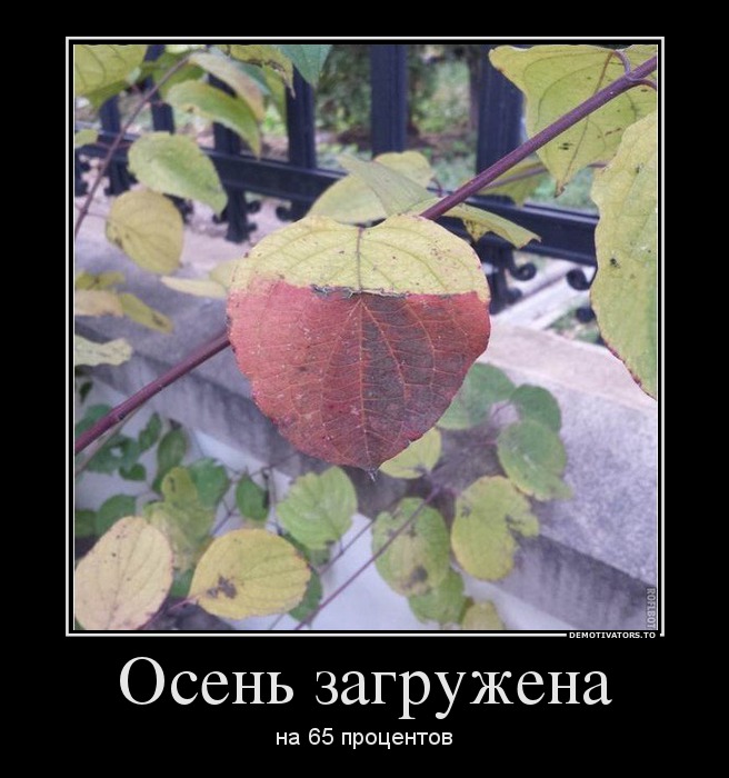 Осень загружена
