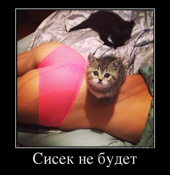 Сисек не будет
