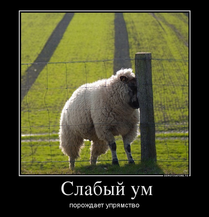 Слабый ум