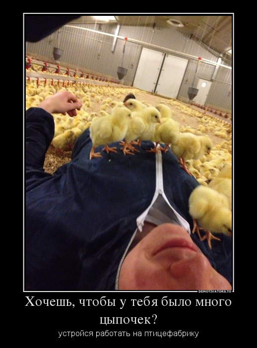 Хочешь, чтобы у тебя было много цыпочек?