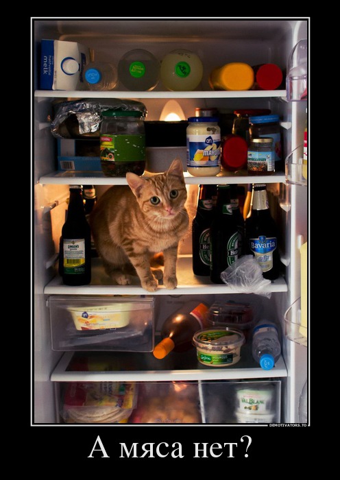 А мяса нет?