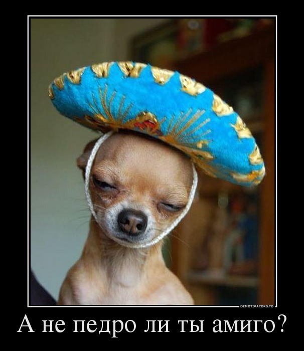 А не педро ли ты амиго?