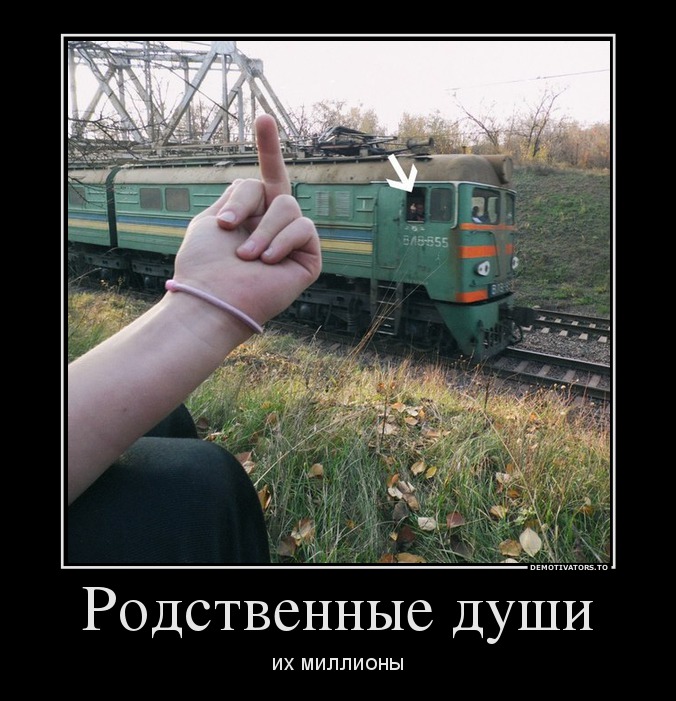 Родственные души