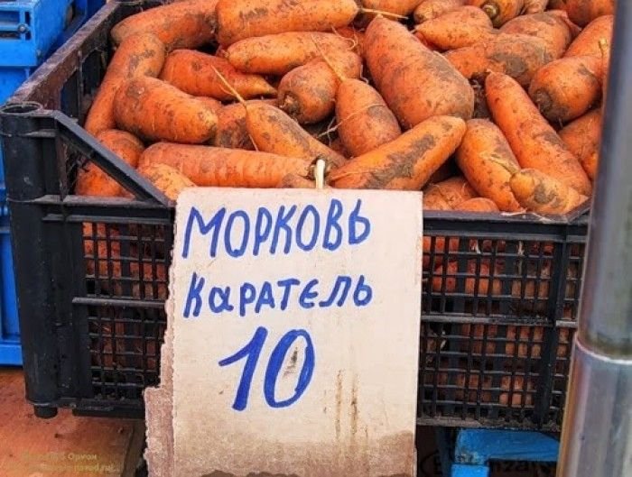 Объявления и надписи (40 фото)