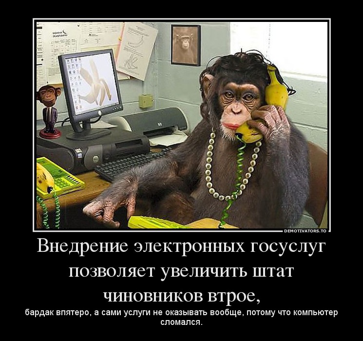 Внедрение электронных госуслуг позволяет увеличить штат чиновников втрое,