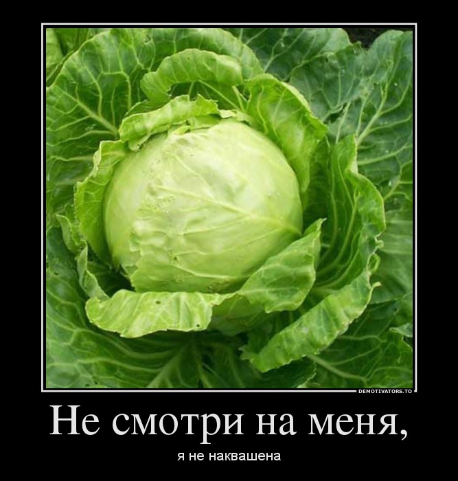 Не смотри на меня,