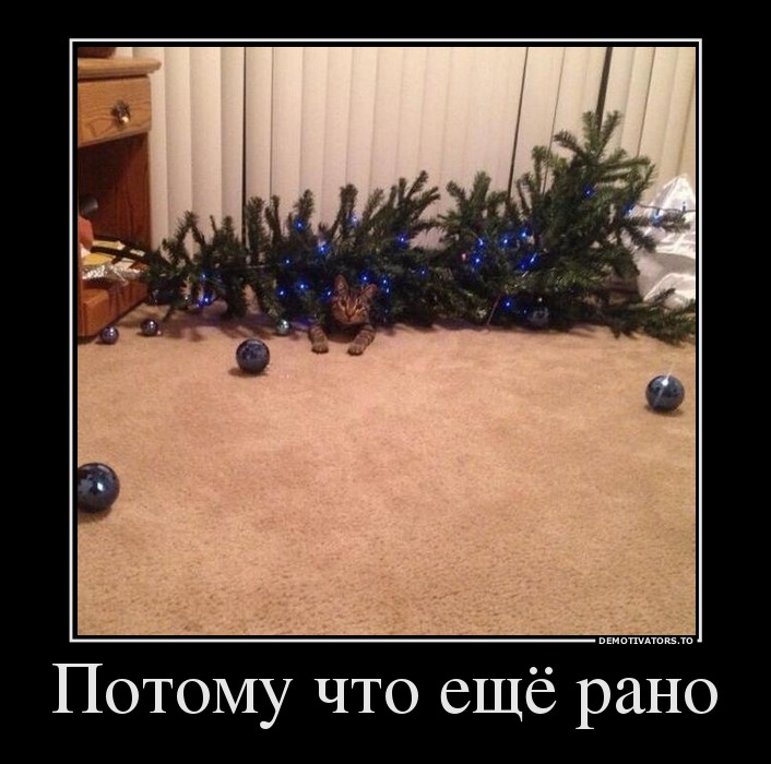 Потому что ещё рано
