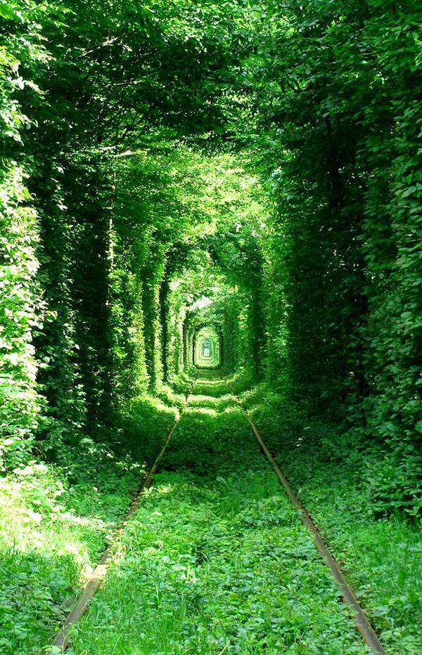 100 лучших фотографий года по версии Twisted Sifter