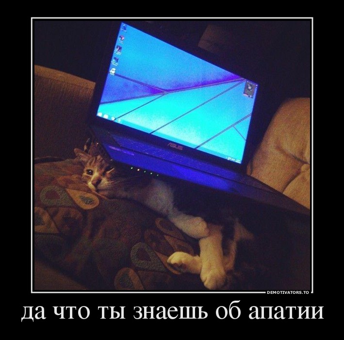да что ты знаешь об апатии