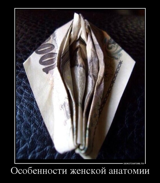 Особенности женской анатомии