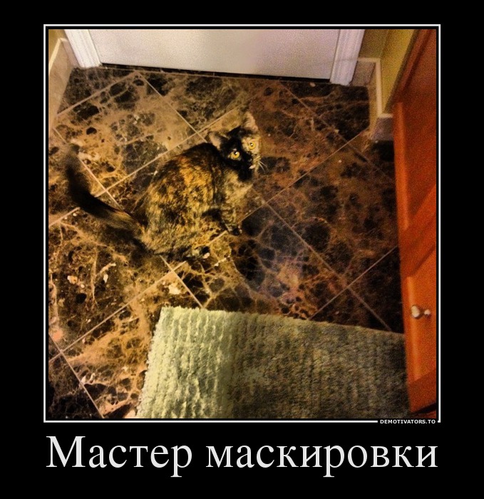 Мастер маскировки