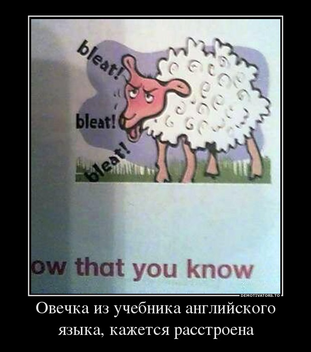 Овечка из учебника английского языка, кажется расстроена