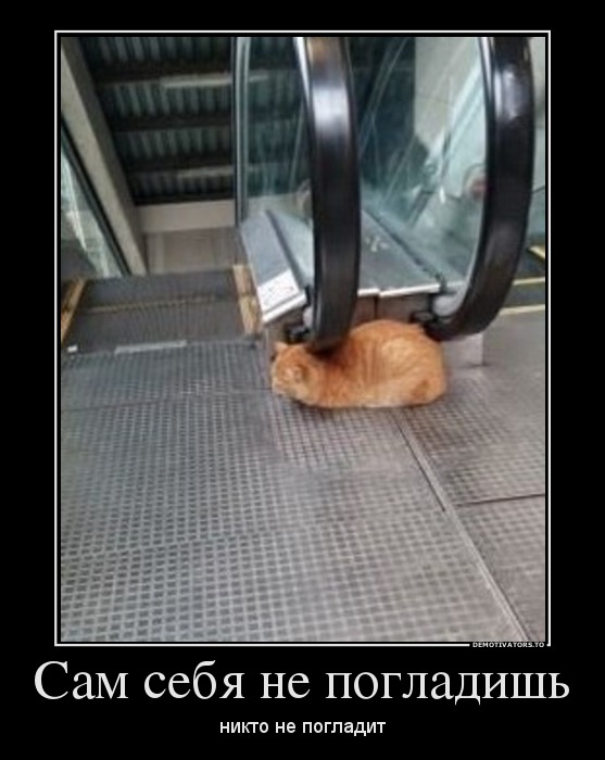 Сам себя не погладишь