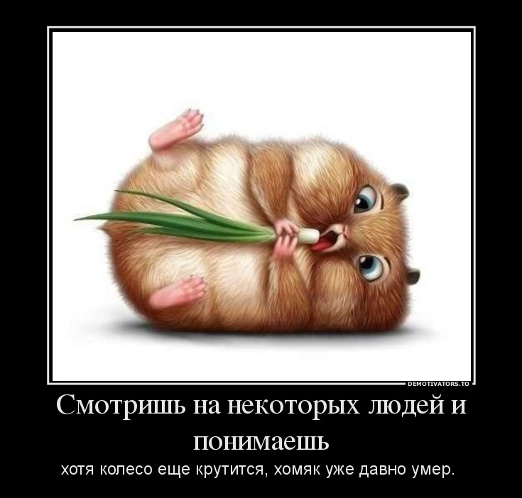 Смотришь на некоторых людей и понимаешь