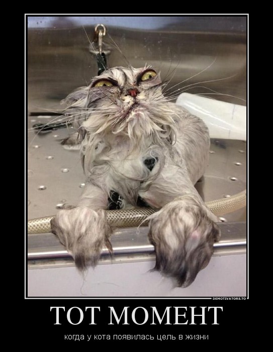 ТОТ МОМЕНТ