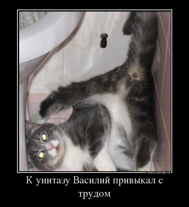 К унитазу Василий привыкал с трудом