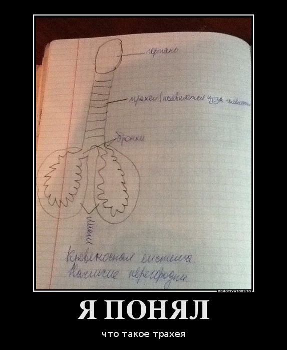 Я ПОНЯЛ