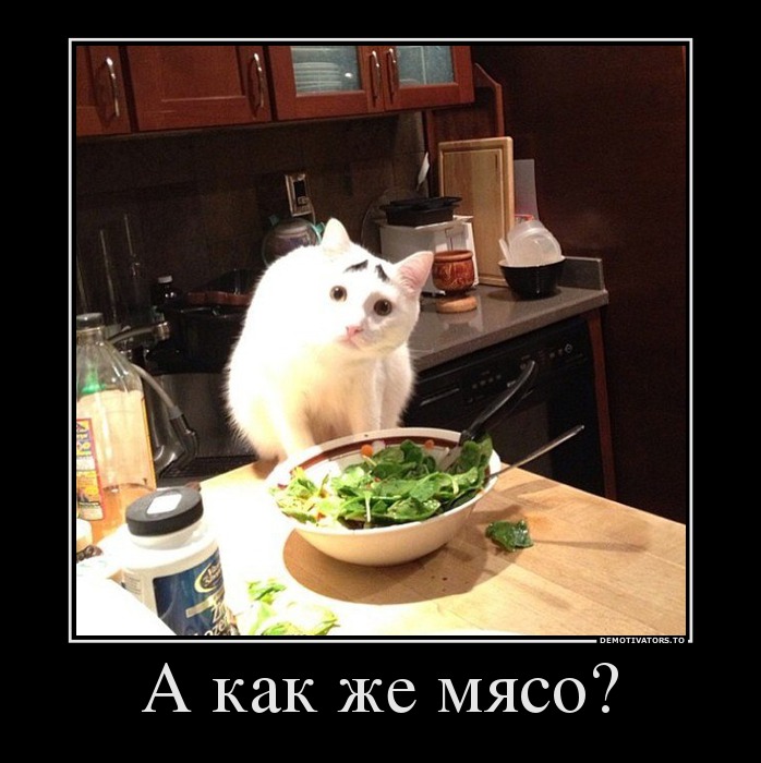 А как же мясо?
