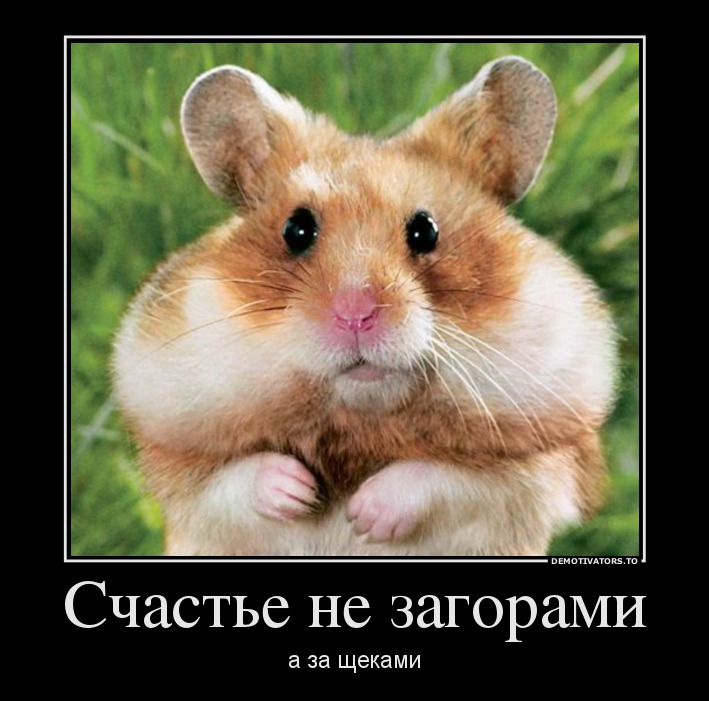 Счастье не загорами
