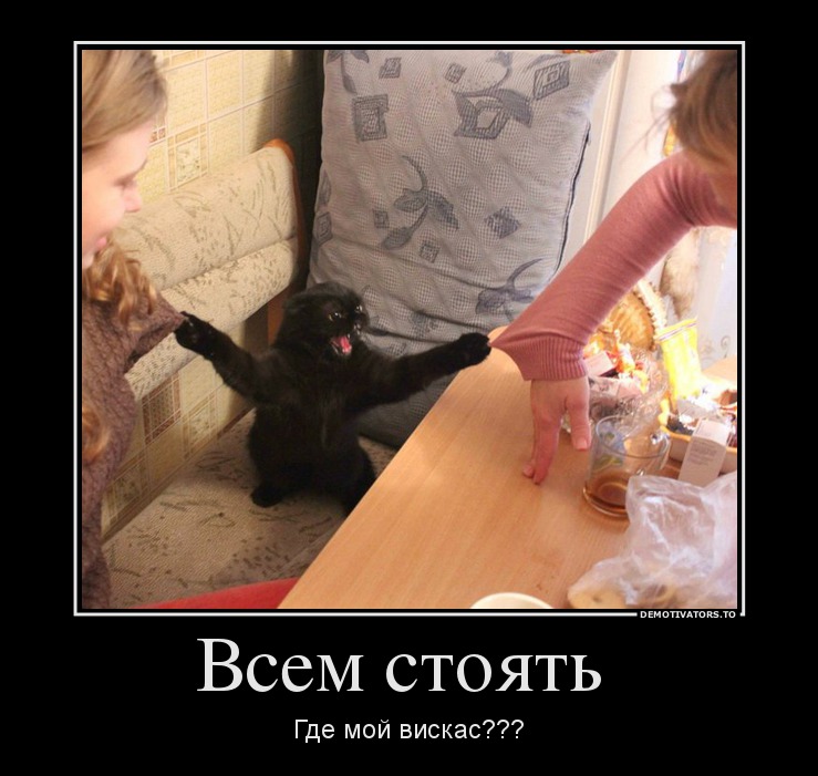 Всем стоять