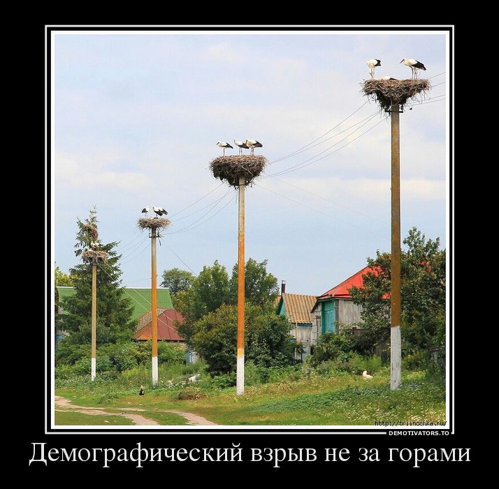 Демографический взрыв не за горами