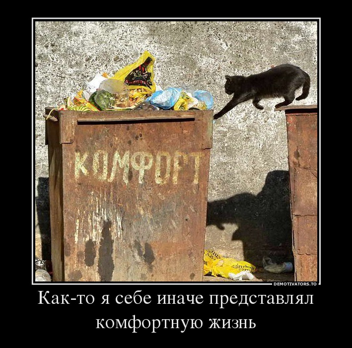 Как-то я себе иначе представлял комфортную жизнь