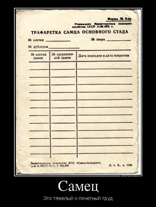 Самец