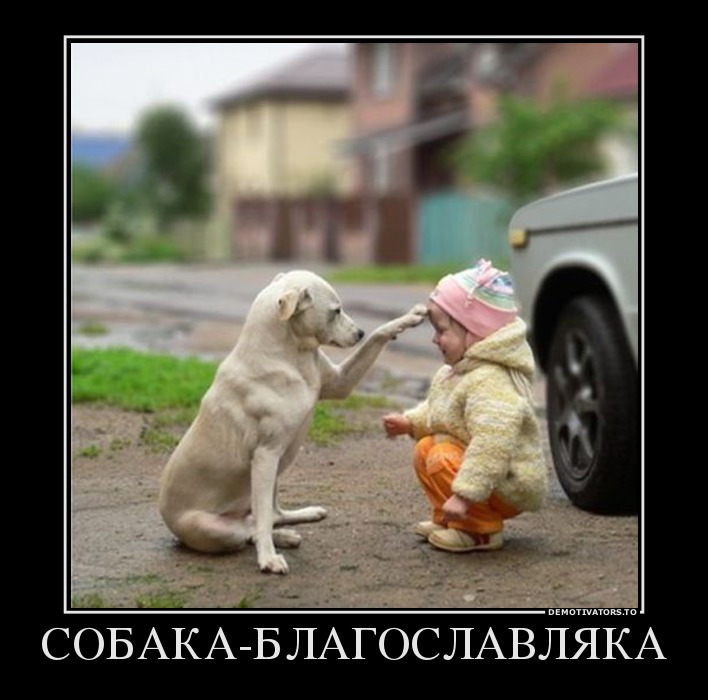 СОБАКА-БЛАГОСЛАВЛЯКА