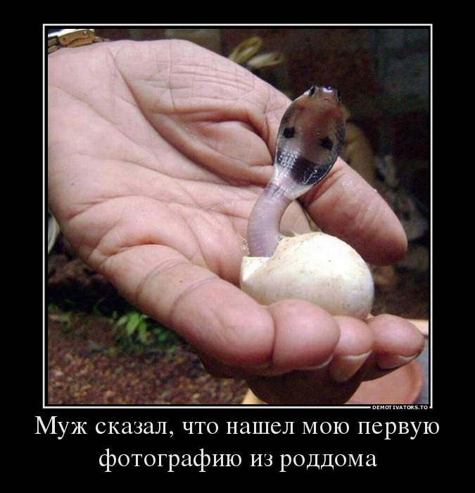 Муж сказал, что нашел мою первую фотографию из роддома