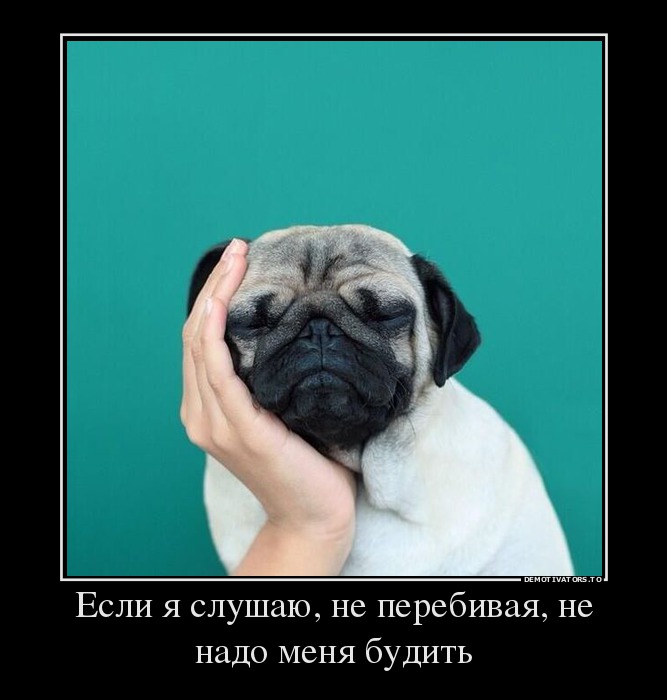 Если я слушаю, не перебивая, не надо меня будить