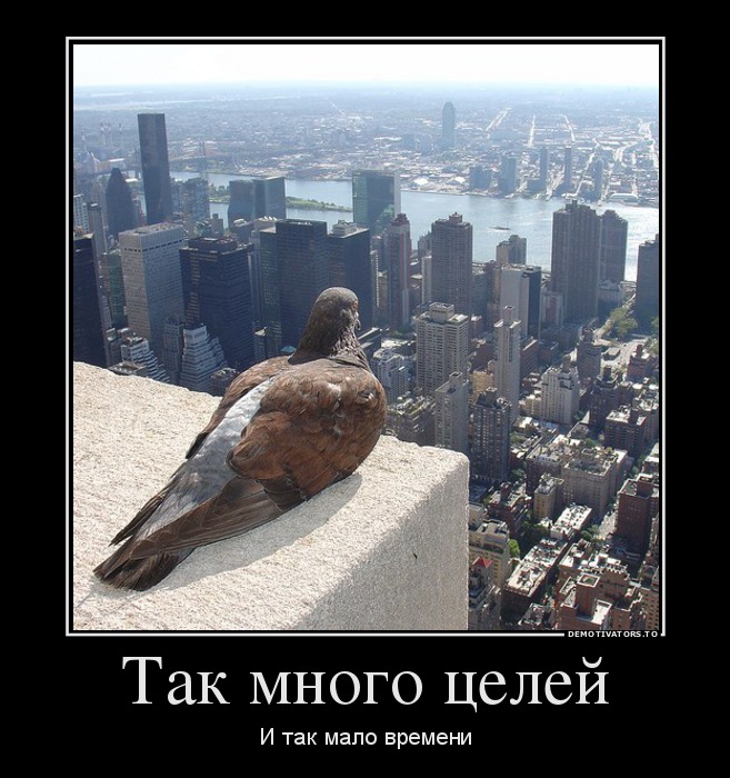 Так много целей