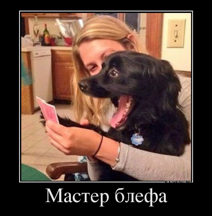 Мастер блефа