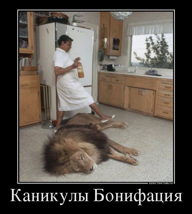 Каникулы Бонифация