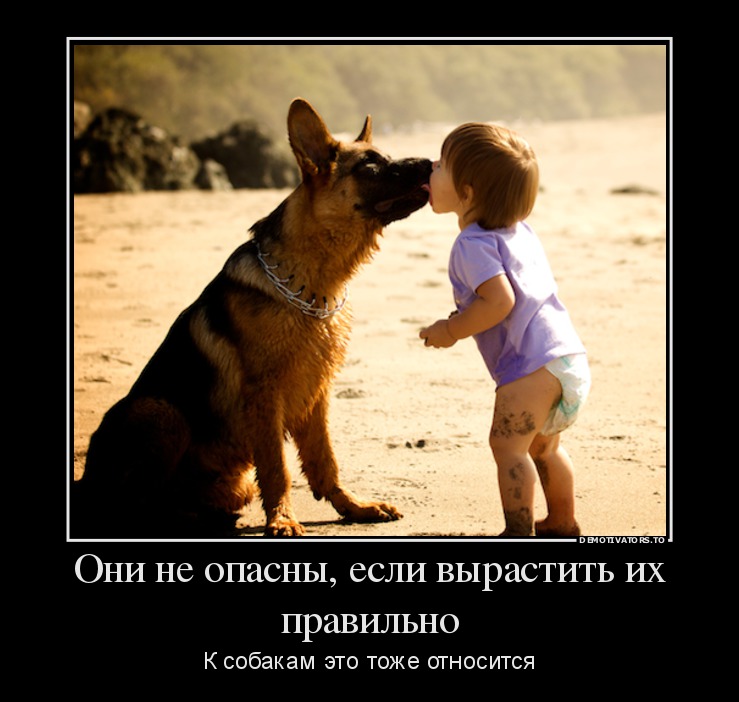 Они не опасны, если вырастить их правильно