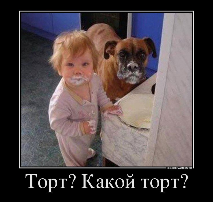 Торт? Какой торт?