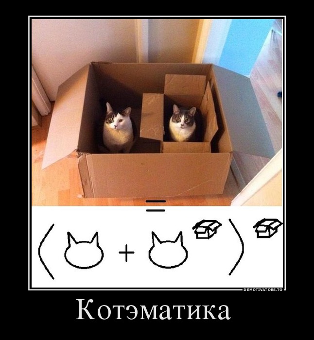 Котэматика