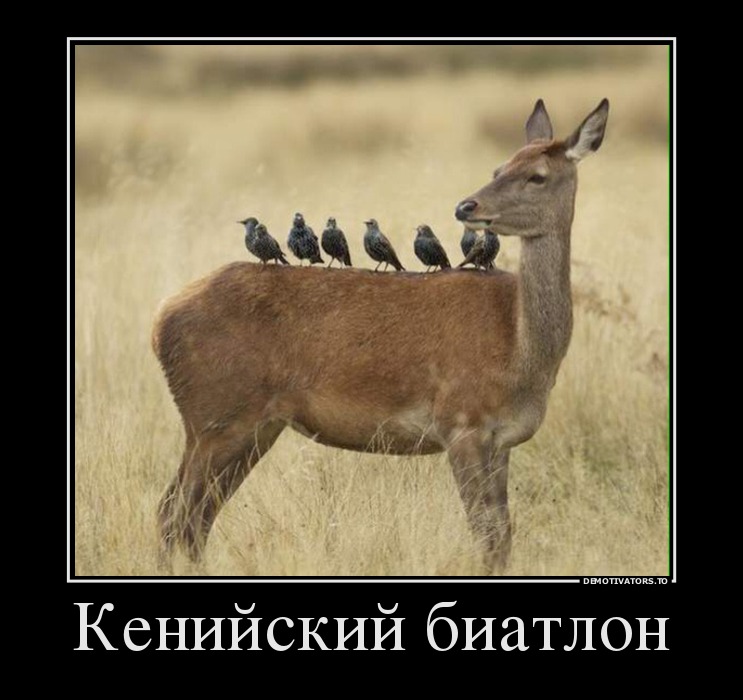 Кенийский биатлон