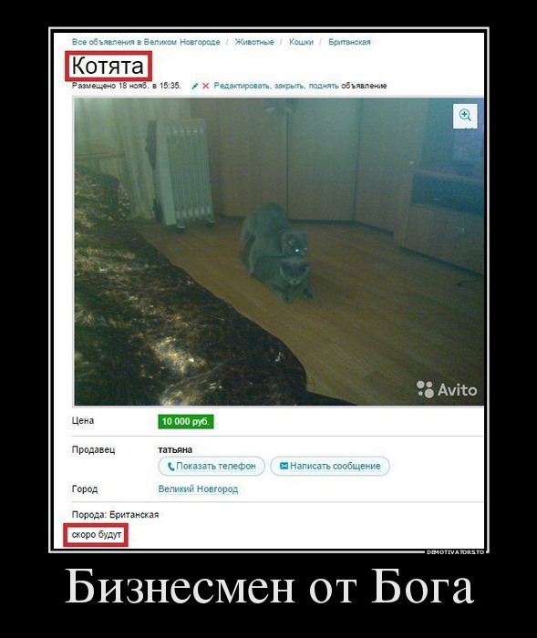 Бизнесмен от Бога