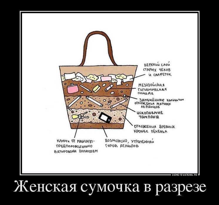 Женская сумочка в разрезе