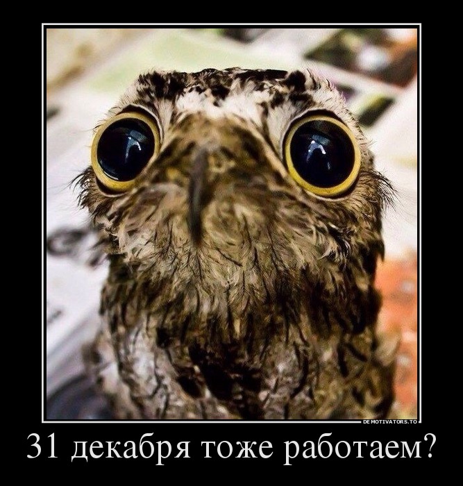 31 декабря тоже работаем?