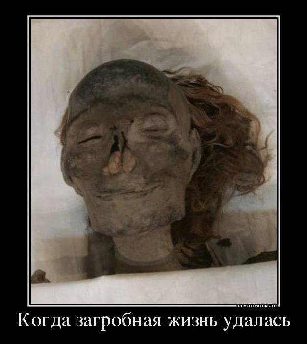 Когда загробная жизнь удалась
